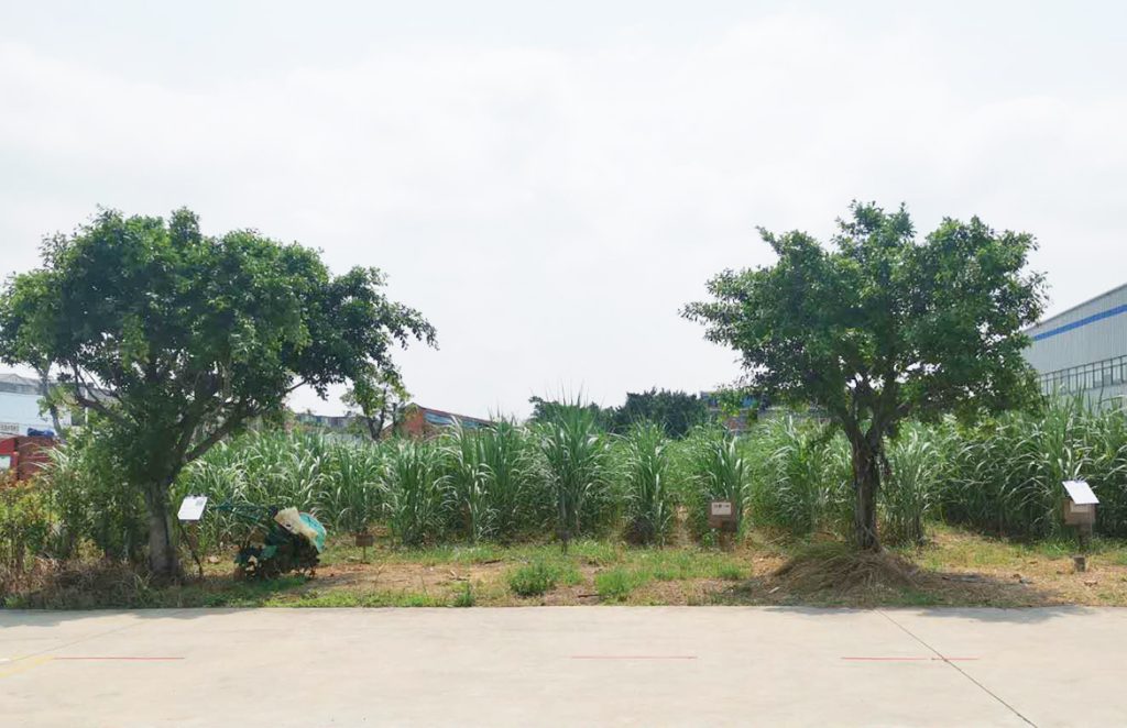 BG大游·(集团)视讯官方网站