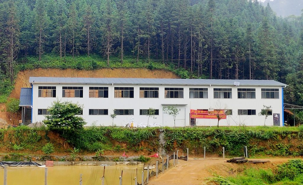 BG大游·(集团)视讯官方网站