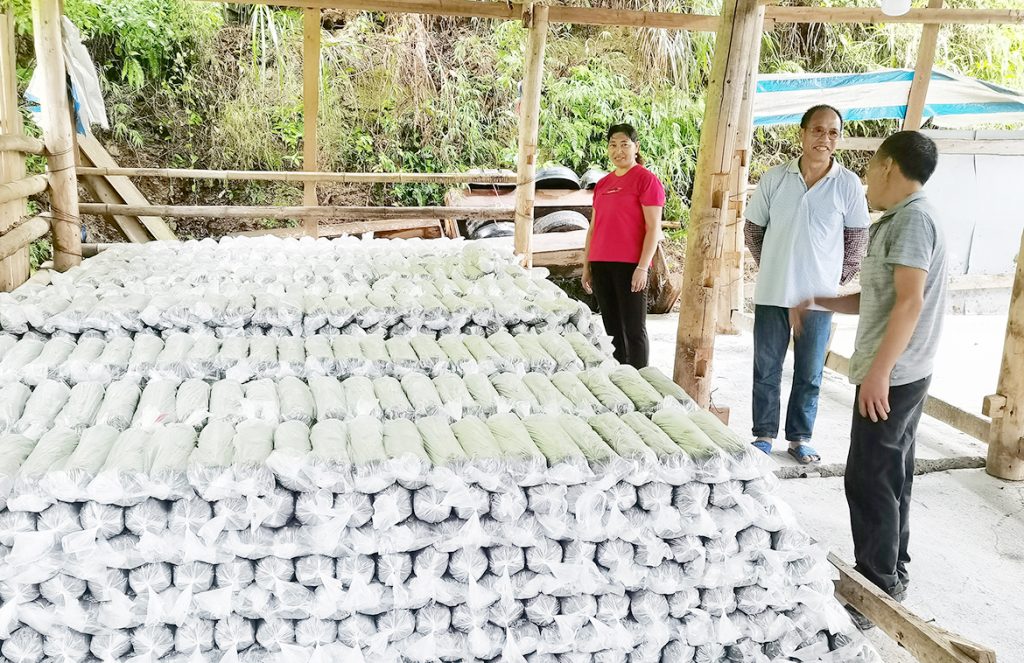 BG大游·(集团)视讯官方网站