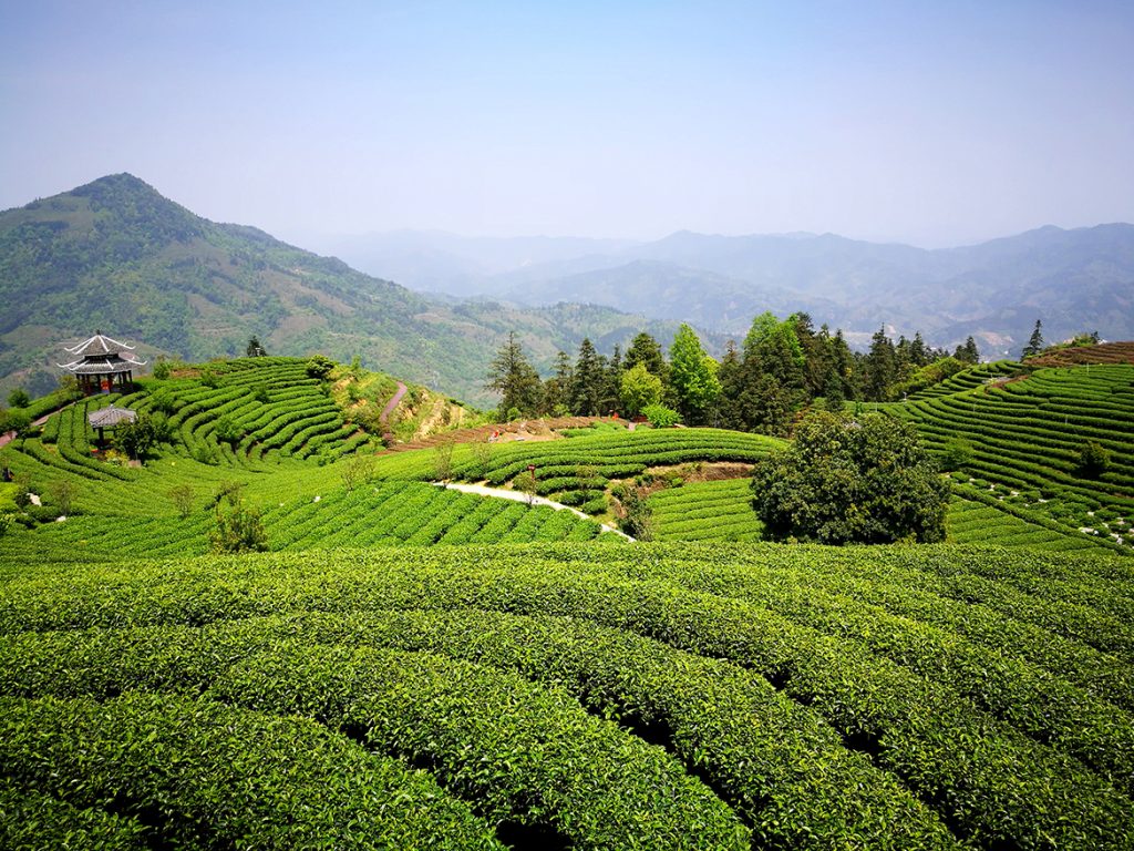 BG大游·(集团)视讯官方网站