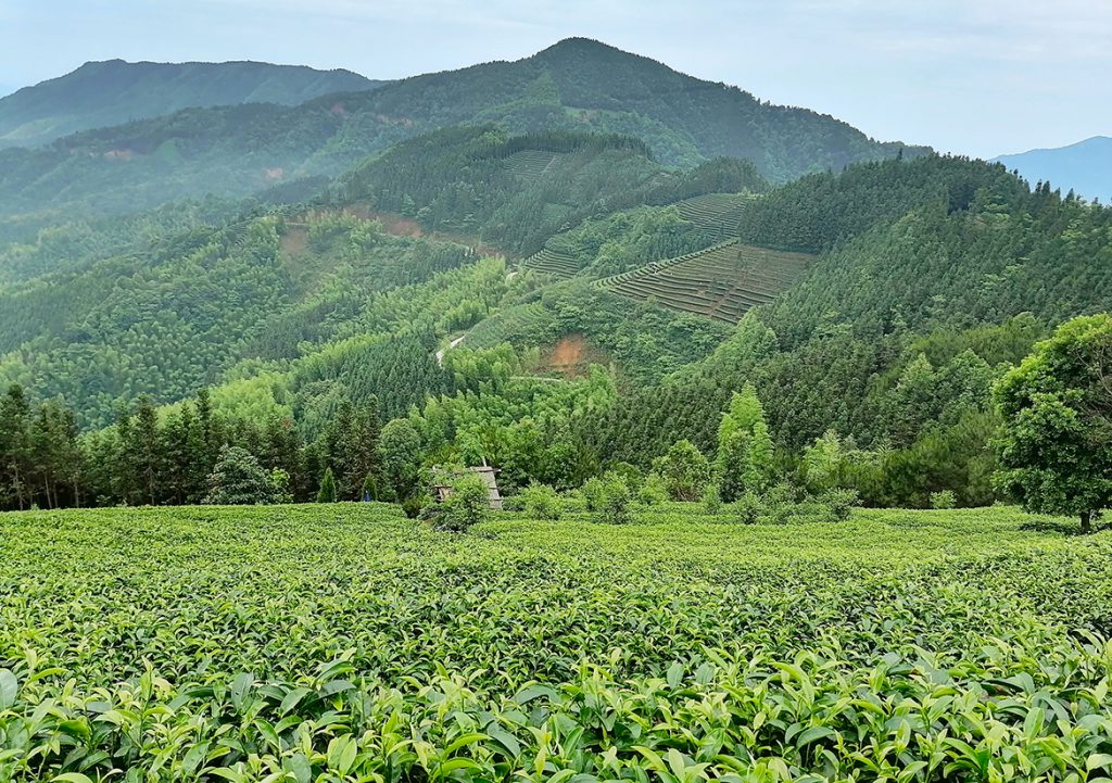 BG大游·(集团)视讯官方网站