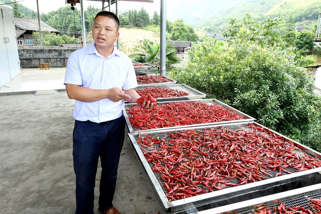 BG大游·(集团)视讯官方网站