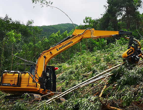BG大游·(集团)视讯官方网站