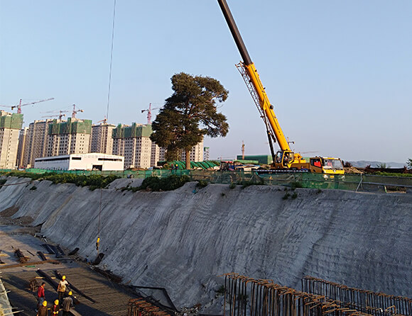 BG大游·(集团)视讯官方网站