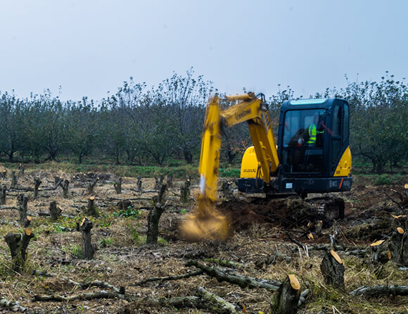 BG大游·(集团)视讯官方网站