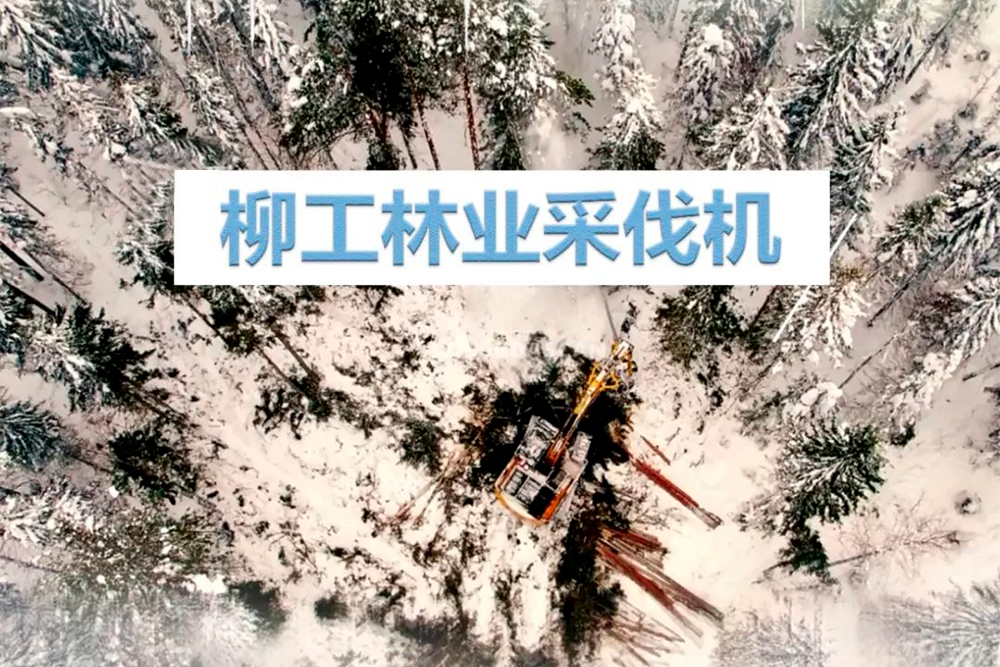 BG大游·(集团)视讯官方网站