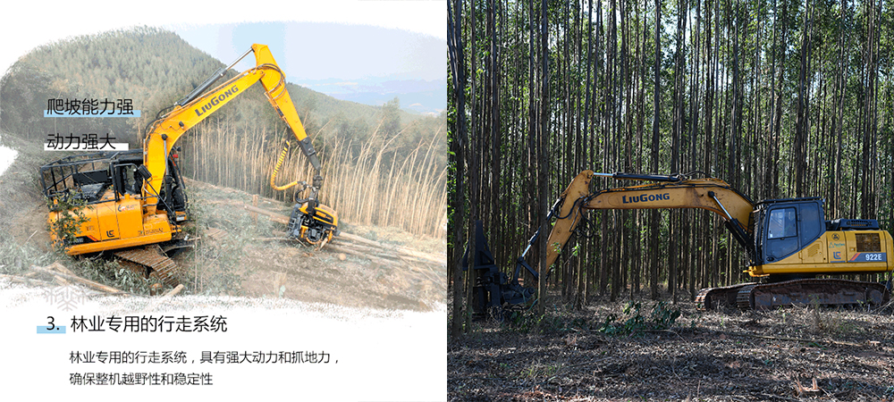 BG大游·(集团)视讯官方网站