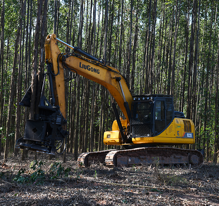 BG大游·(集团)视讯官方网站