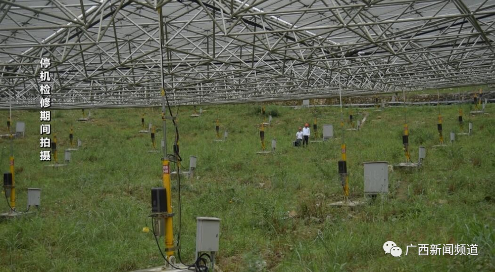 BG大游·(集团)视讯官方网站