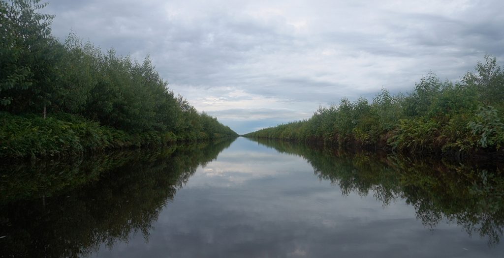 BG大游·(集团)视讯官方网站