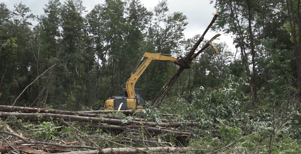 BG大游·(集团)视讯官方网站