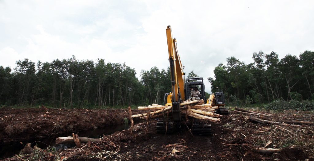 BG大游·(集团)视讯官方网站