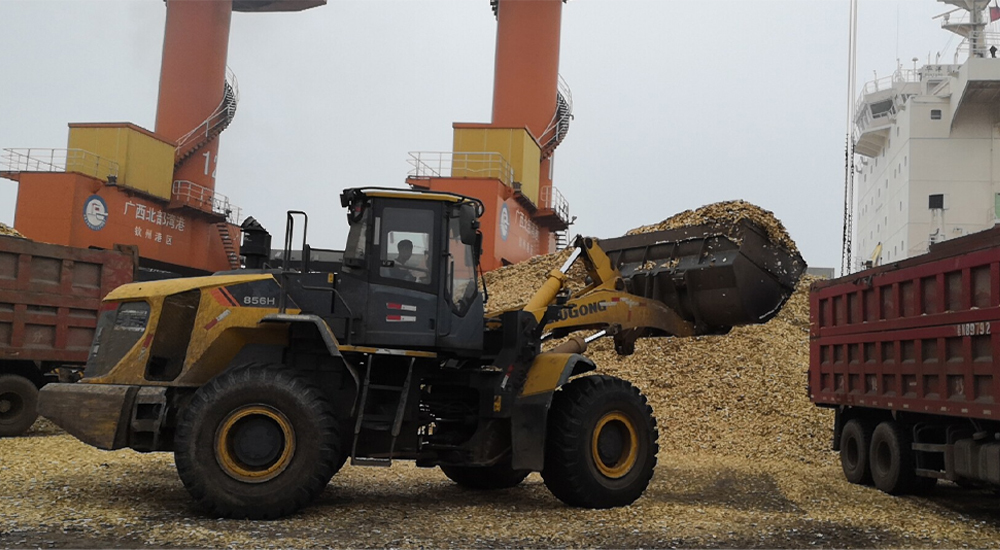 BG大游·(集团)视讯官方网站