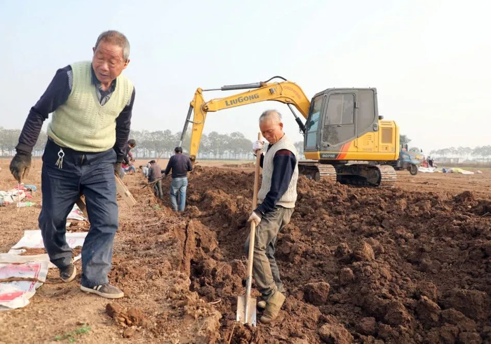 BG大游·(集团)视讯官方网站