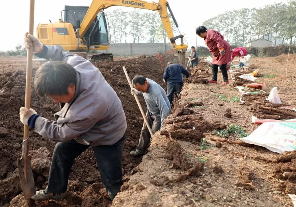BG大游·(集团)视讯官方网站