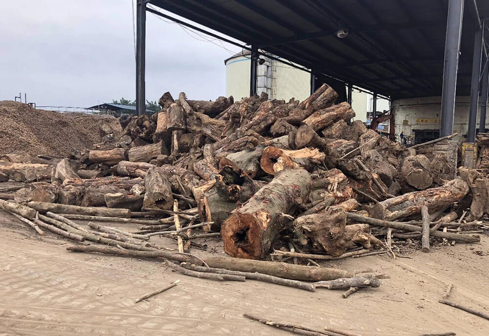 BG大游·(集团)视讯官方网站