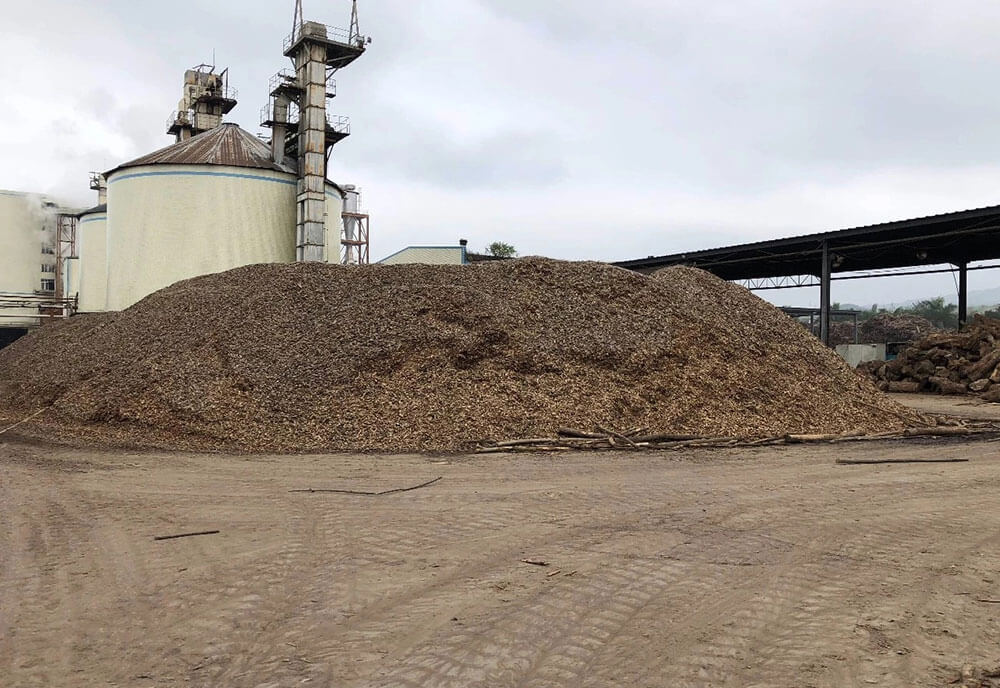 BG大游·(集团)视讯官方网站