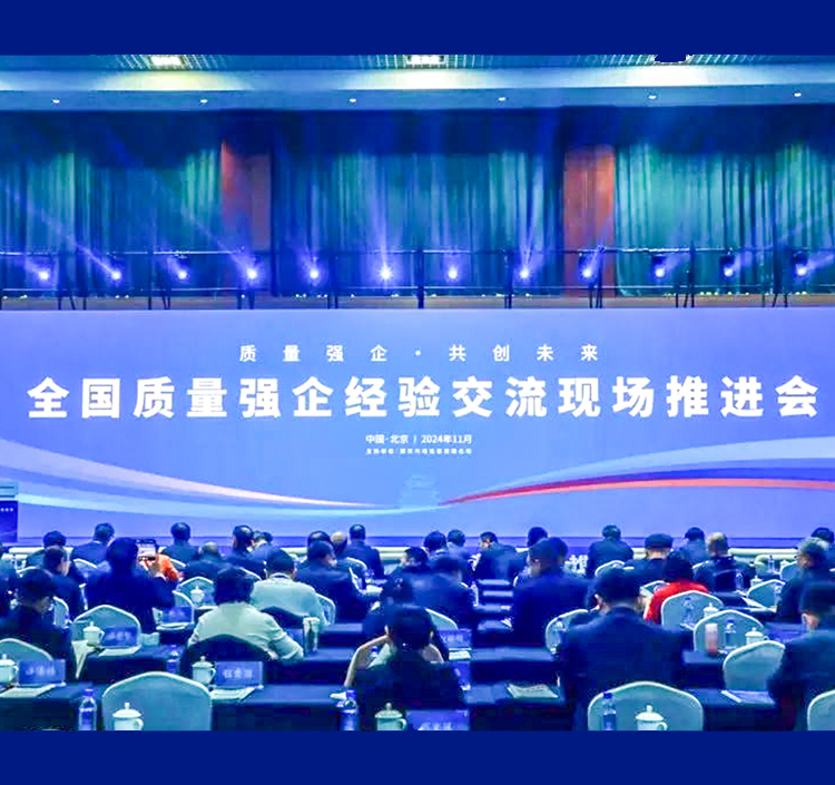 广西唯一！BG大游入选质量强国建设领军企业培育库