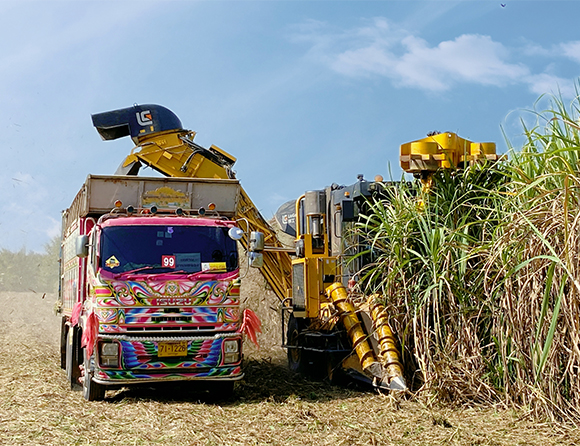 BG大游·(集团)视讯官方网站